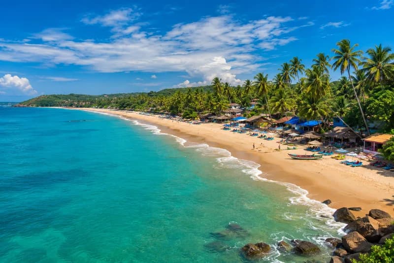 Holiday Packages