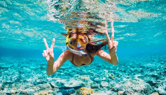Dolphin Watching & Snorkeling Tour