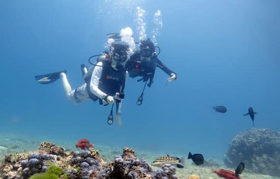 Scuba Diving at Grande Island — PADI